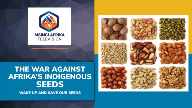 War against seeds Thumbnail