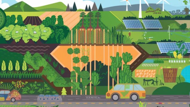 photo_2024-10-08_14-15-38