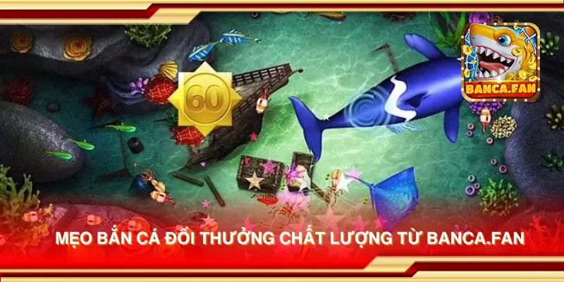 Mẹo bắn cá đổi thưởng chất lượng từ msingiafrika.tv
