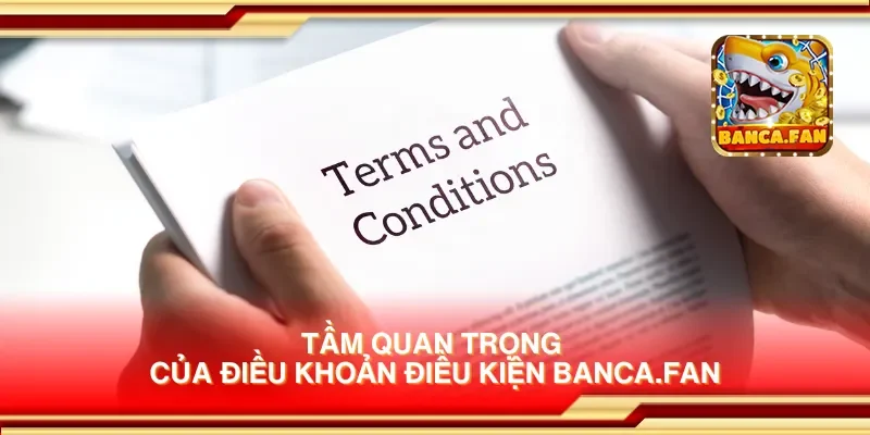 Tầm quan trọng của điều khoản điều kiện msingiafrika.tv